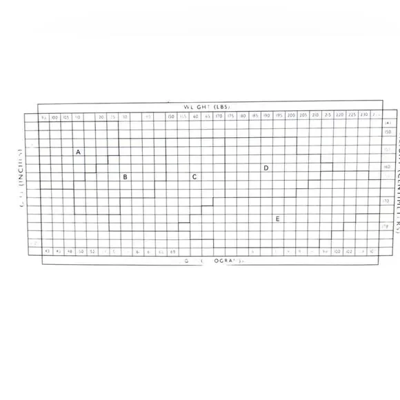 Nice Touch Beautifully Bare Lace Panty beige vintage nylons stockings pantyhose - Picture 5 of 5